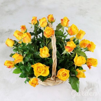 25 желтых роз в корзине